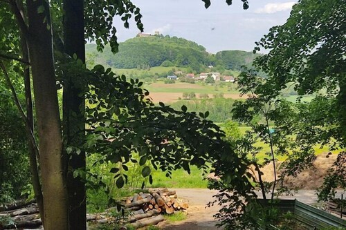 Ferienhaus Waldhaus Edelweiss