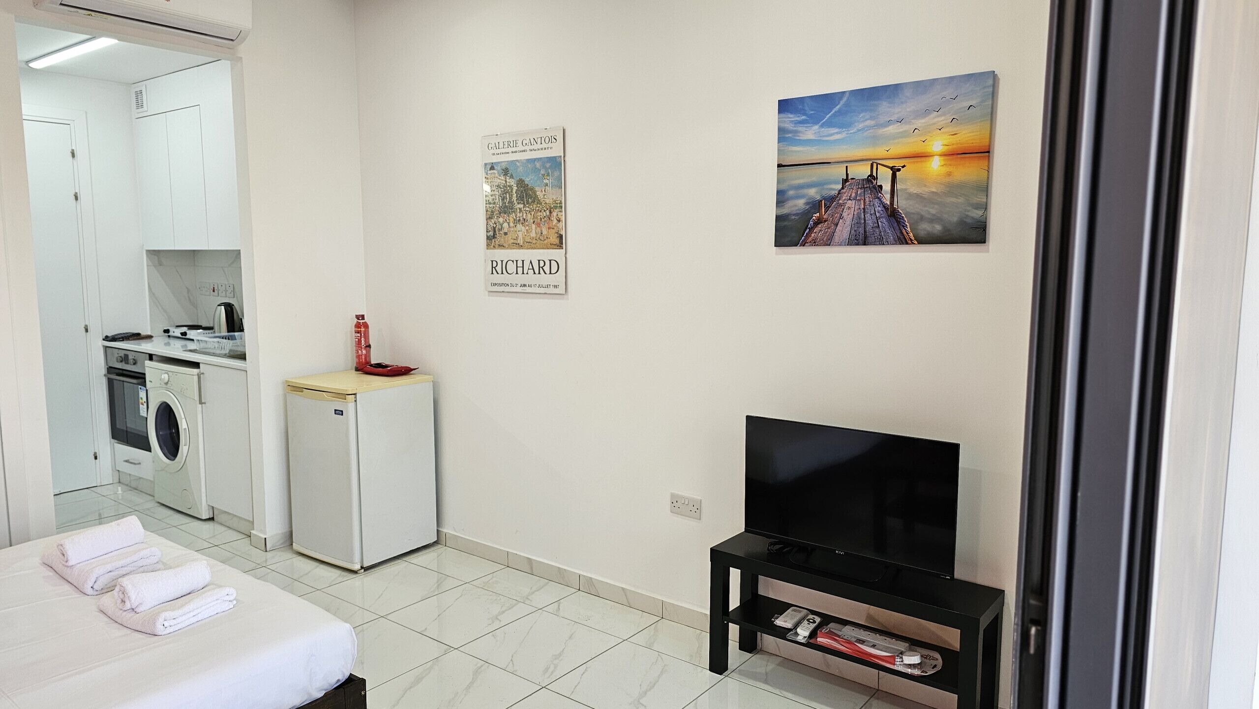 A compact living space with a kitchenette, a washing machine, a TV on a stand, and artwork on the walls.