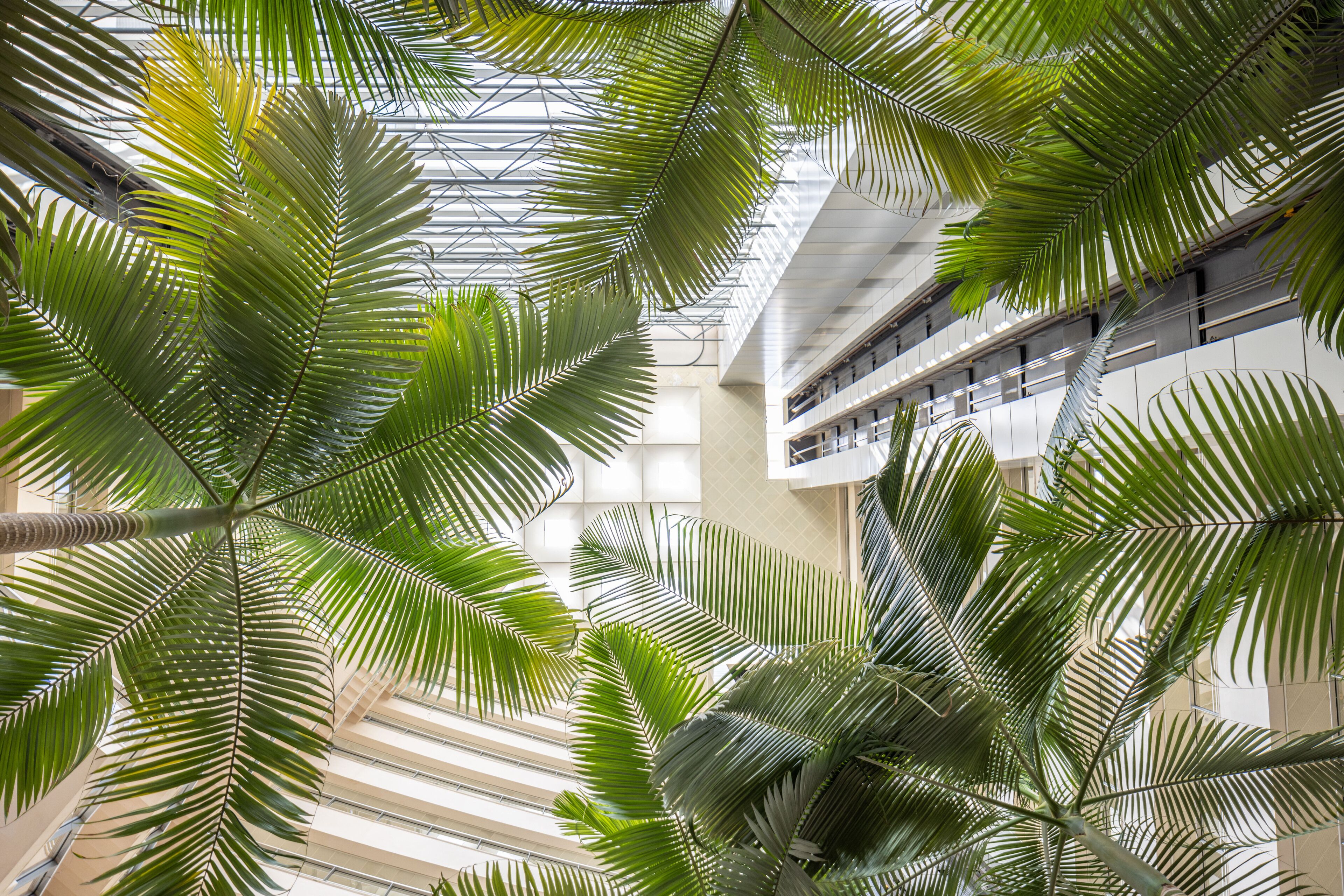 Detalhe da parte interna