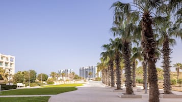 Vista desde la propiedad