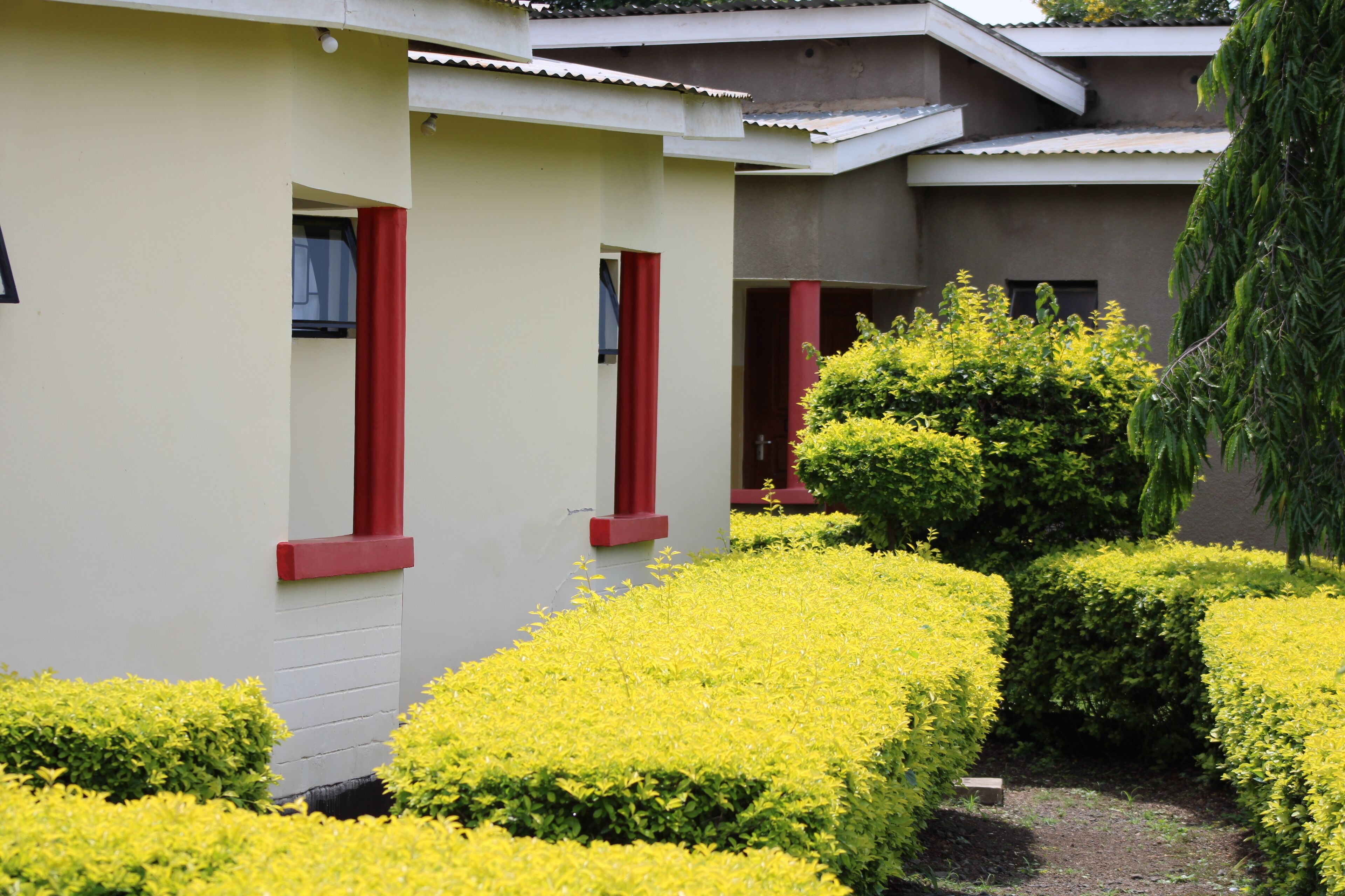 A building with three visible windows, each with a red frame, and a well-maintained garden with yellow flowering plants and neatly trimmed bushes.