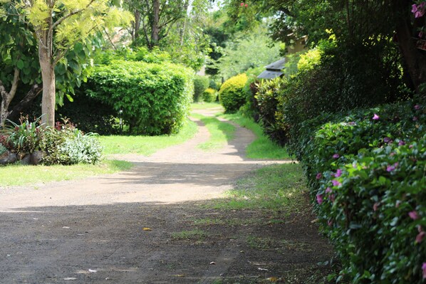 Exterior - Meserani Oasis Lodge & Campsite (Arusha)