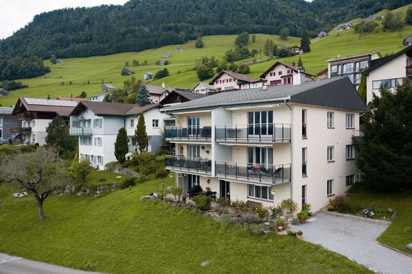 Main view