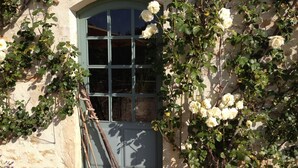 A rustic building with a green window, climbing roses, and wooden logs. - Les Deux Ponts (Pierre-Perthuis)