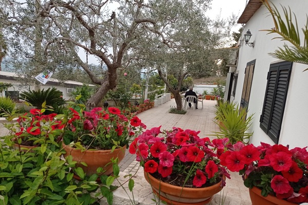 Parco della struttura