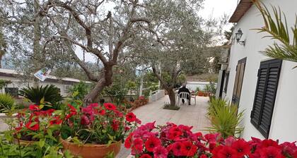 IL CORBEZZOLO in a residential area not far from the chaos of the city.