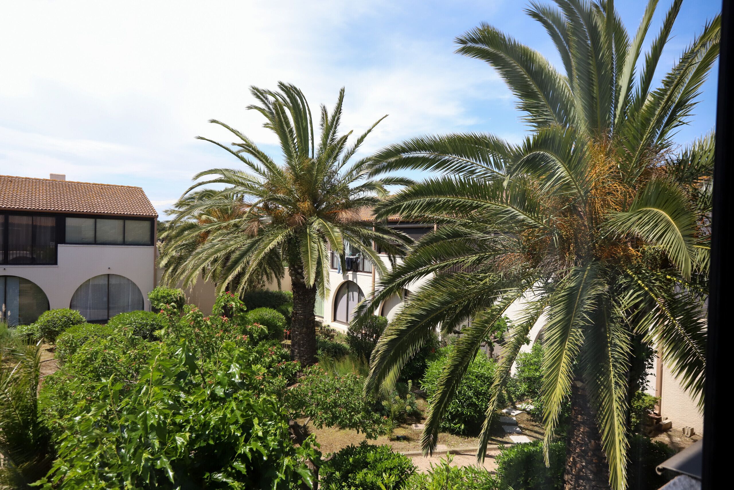A courtyard with palm trees, a building with a tiled roof, and a garden with various plants.