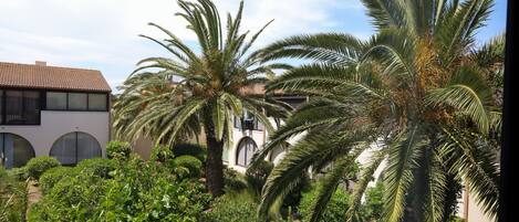 A courtyard with palm trees, a building with a tiled roof, and a garden with various plants.