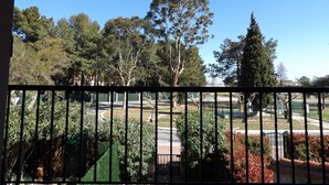 A view through a metal gate of a park with trees and a clear sky.
