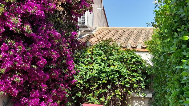 Unclassified image, 1 of 14, button - St CyprienFlower-filled house in a quiet area close to the beaches (Saint-Cyprien)