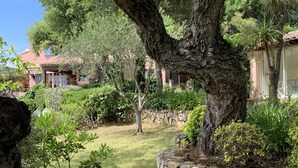 A stone pathway leading to a rustic building with a large tree in the foreground. - Gulf of St Tropez. Close to beaches. Property with swimming pool. Ideal for large groups (Grimaud)