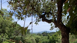 A glass table with chairs and a teapot set outdoors, surrounded by a tree and a view of a lush landscape. - Gulf of St Tropez. Close to beaches. Property with swimming pool. Ideal for large groups (Grimaud)