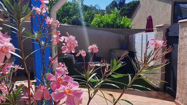A patio area with pink flowers, a blue chair, and a tiled floor. - St Cyprien beautiful holiday home near the beach (Saint-Cyprien)