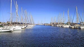 A marina with numerous sailboats docked in calm waters under a clear blue sky.