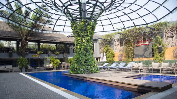 Una piscina interior con techo de vidrio, rodeada de sillones de descanso y una pared verde con plantas tropicales.