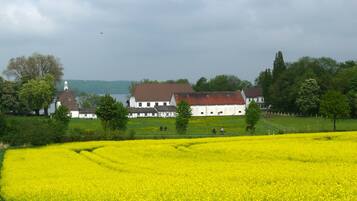 A rural landscape with a large white building, possibly a farmhouse, surrounded by fields of yellow flowers and trees.