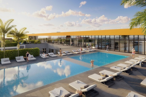 Outdoor pool, sun loungers