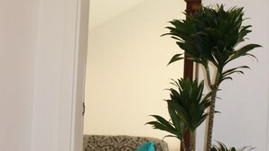 Ein Flur mit einem Blumentopf, einer Holztür und einem gemusterten Sofa im Hintergrund.