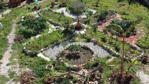 Ein Garten mit unterschiedlichen Pflanzen und einem runden Steinbrunnen in der Mitte.
