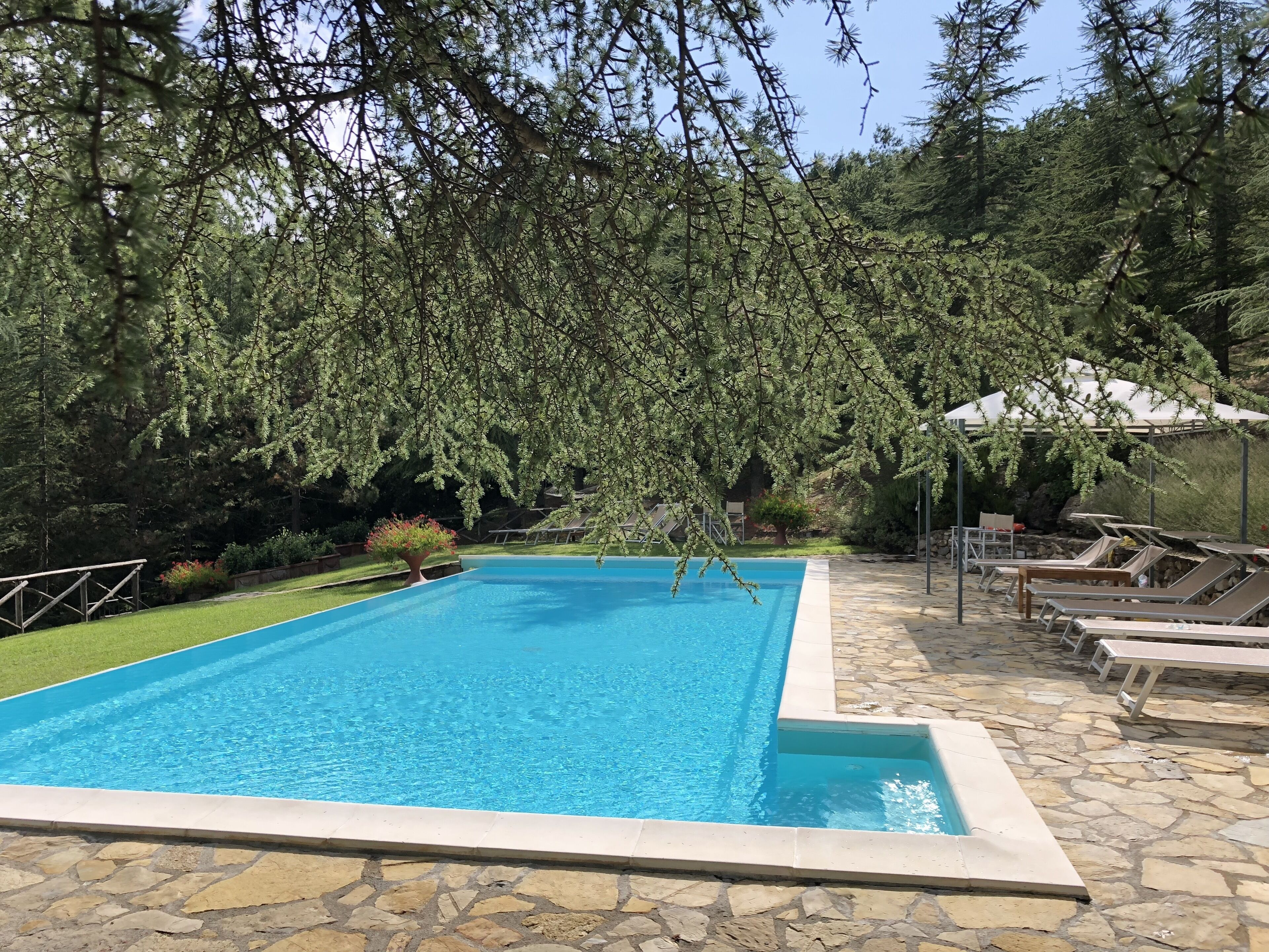 Seasonal outdoor pool, pool loungers