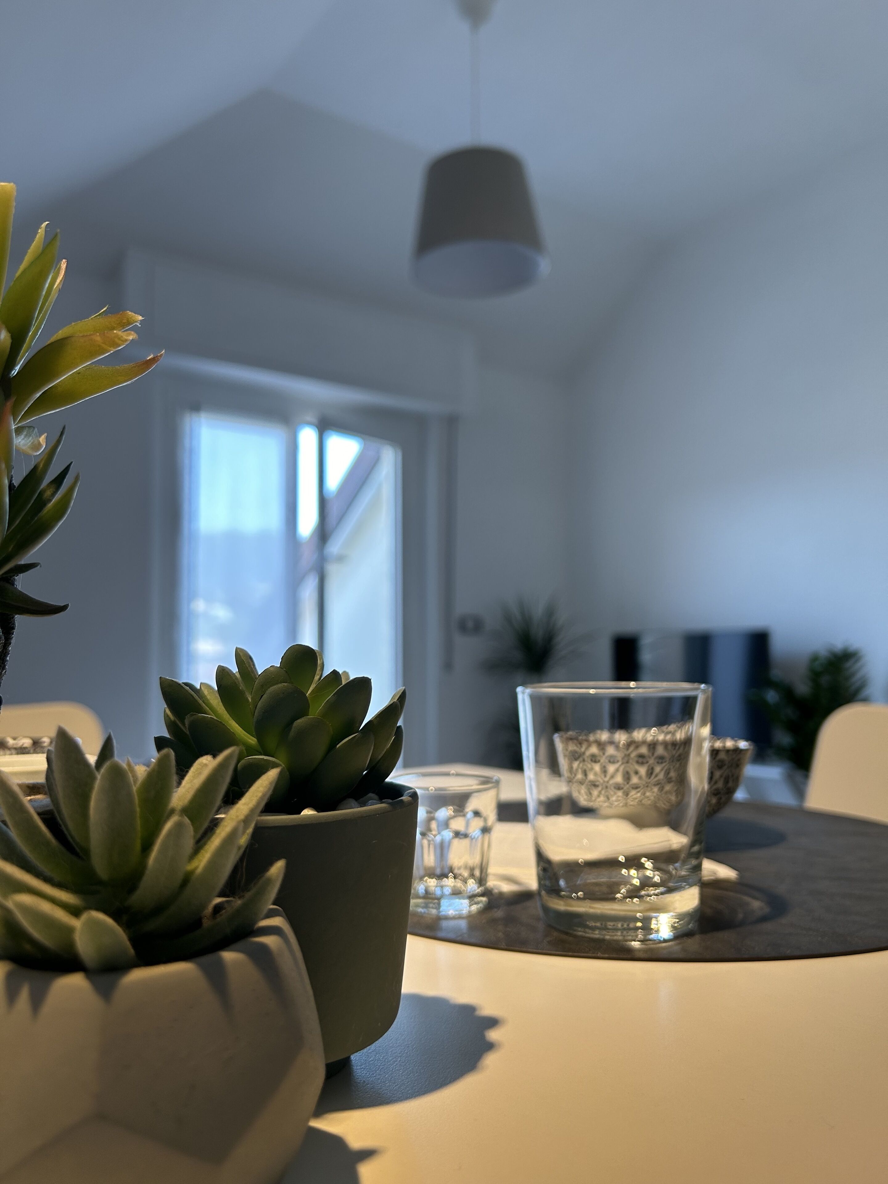 A modern kitchen with a dining table, potted plants, and a hanging light fixture.