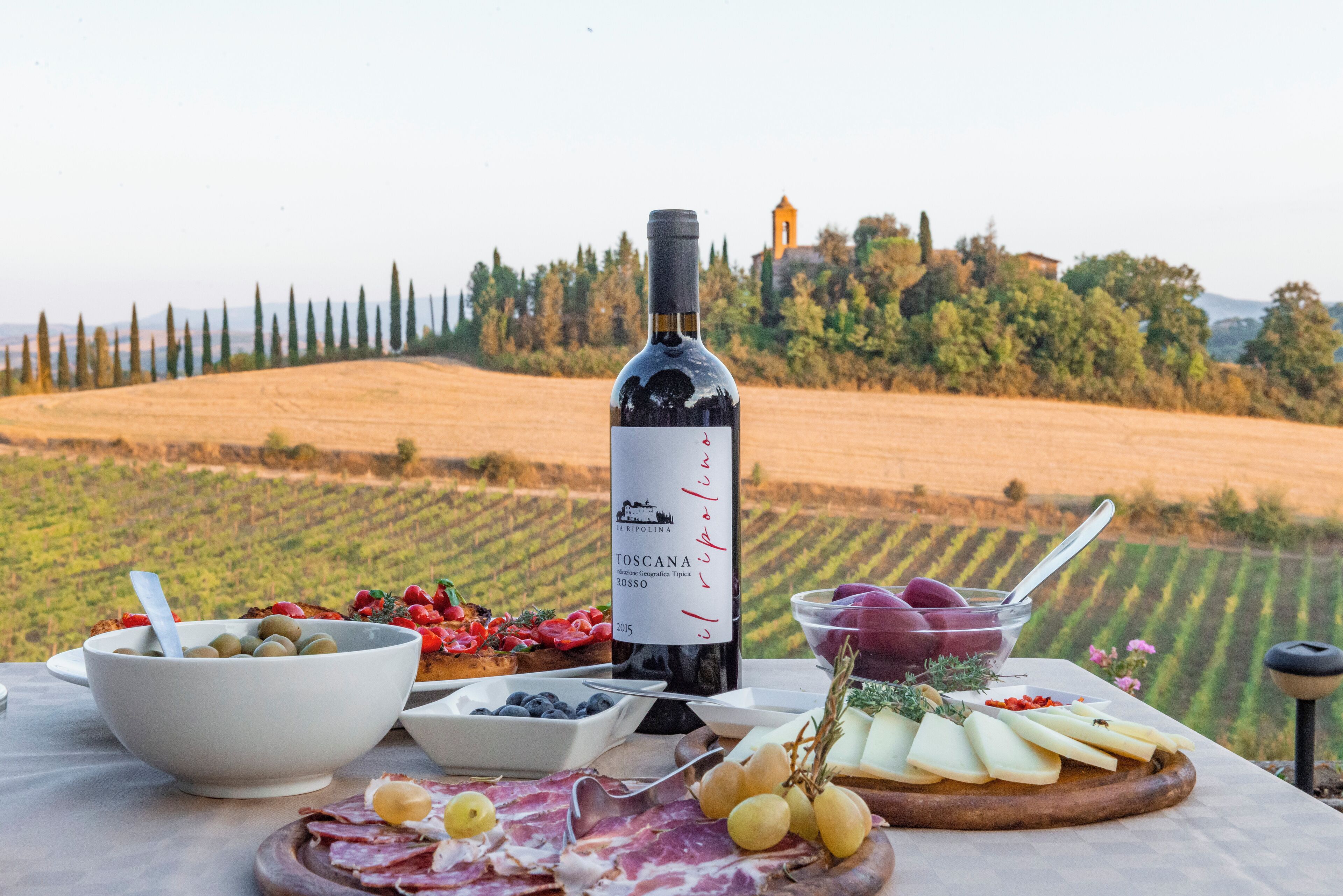 Una mesa con una botella de vino, queso, uvas y embutidos en un viñedo.
