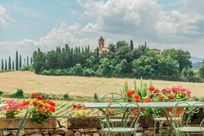Exterior - Agriturismo La Ripolina (Buonconvento)