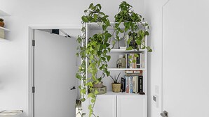Basic Apartment | Interior - Gorgeous Clapham Flat (London)