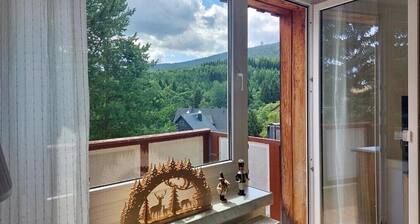 Ferienwohnungen Glitzerhirsch