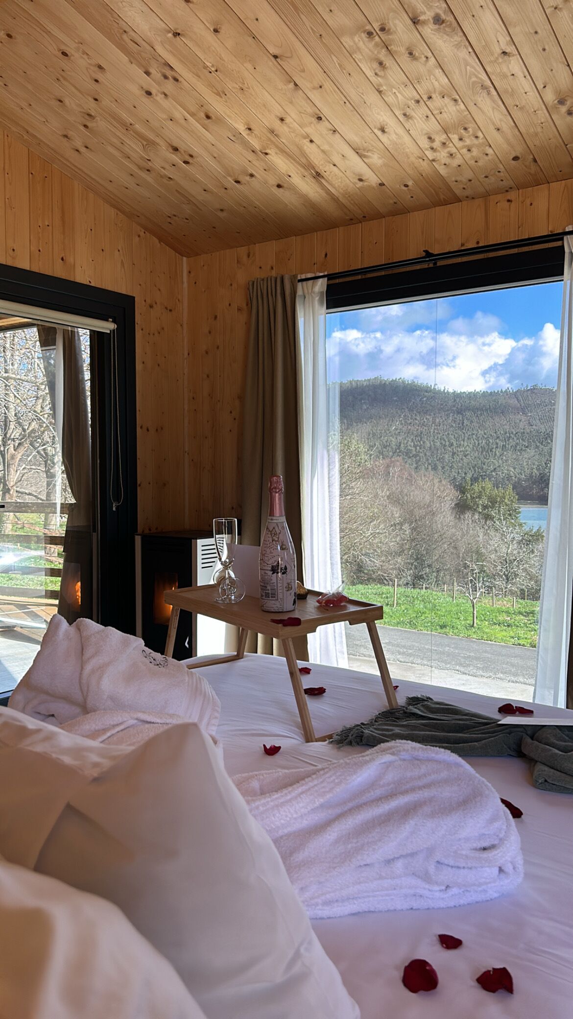 A cozy wooden cabin room with a bed, a small table with a bottle and glass, and a view of a forested landscape through large windows.