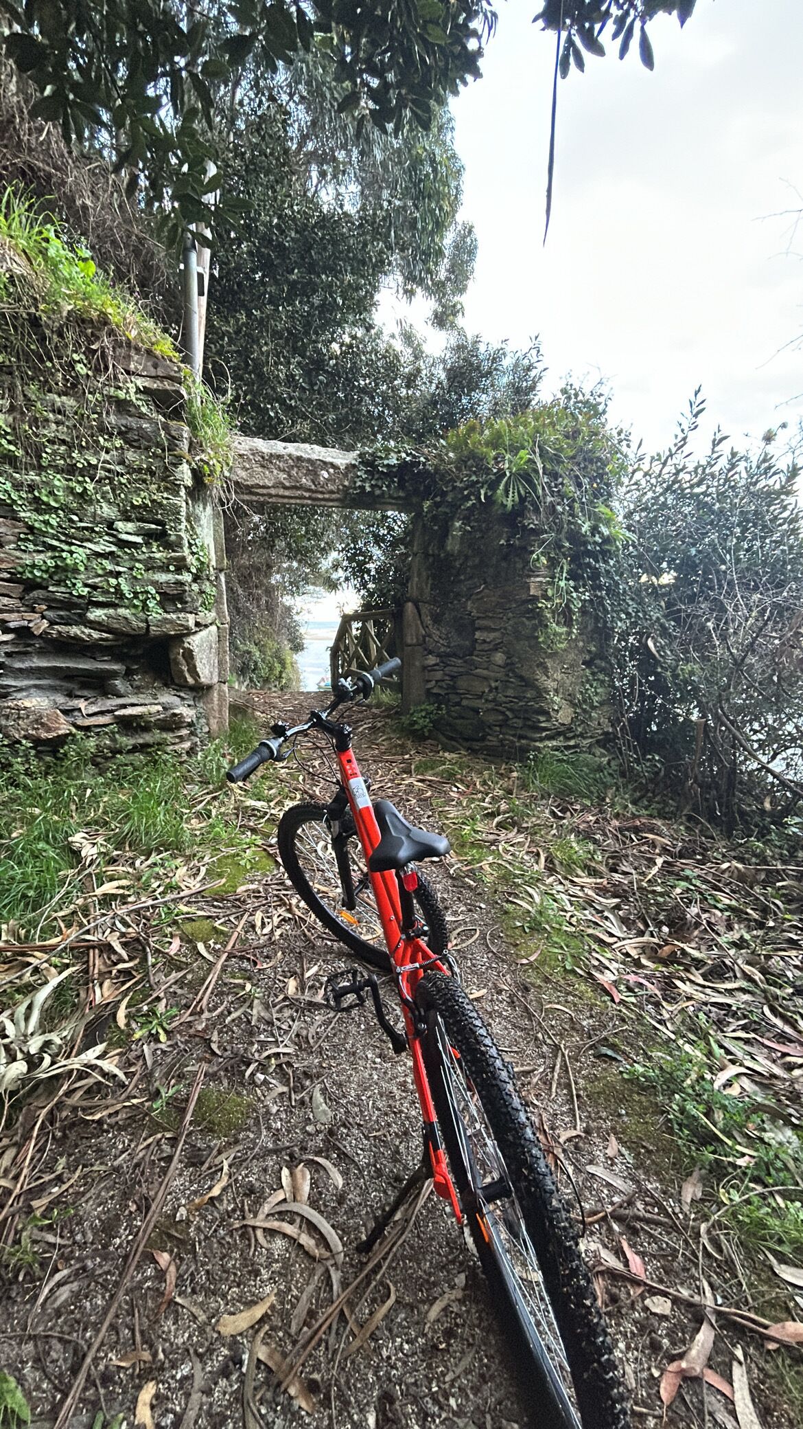 A red mountain bike parked on a dirt path with a stone wall and greenery in the background.
