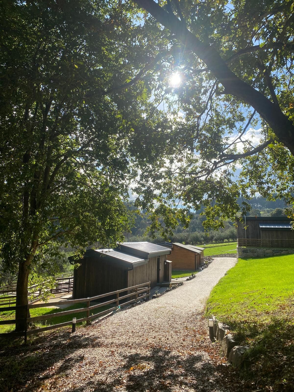Un sendero de grava que lleva a edificios de madera, rodeado de árboles y un espacio con césped.