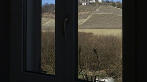 A window with a view of a field and a distant building.