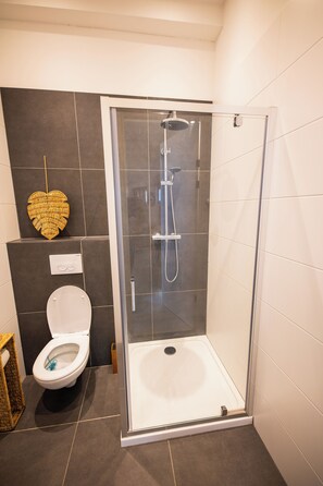 Apartament | Bany | Dutxa, assecador de cabells, tovalloles i paper higiènic 