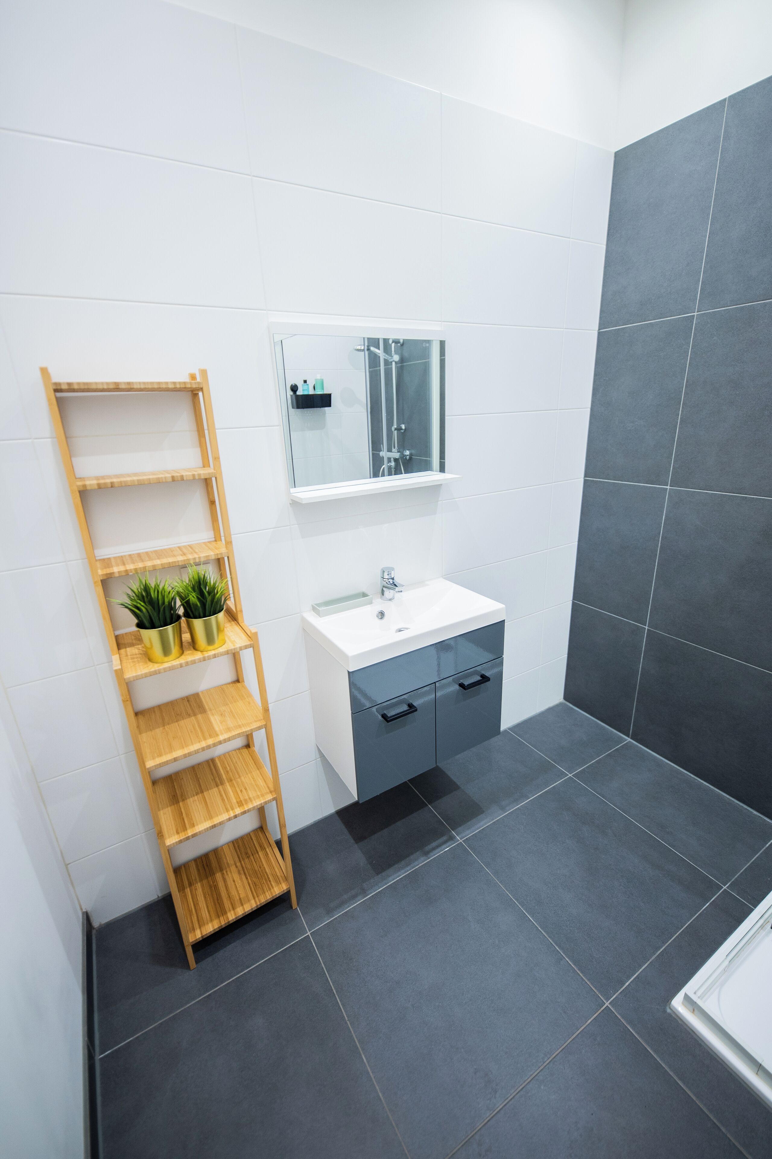 Apartment | Bathroom | Shower, hair dryer, towels, toilet paper