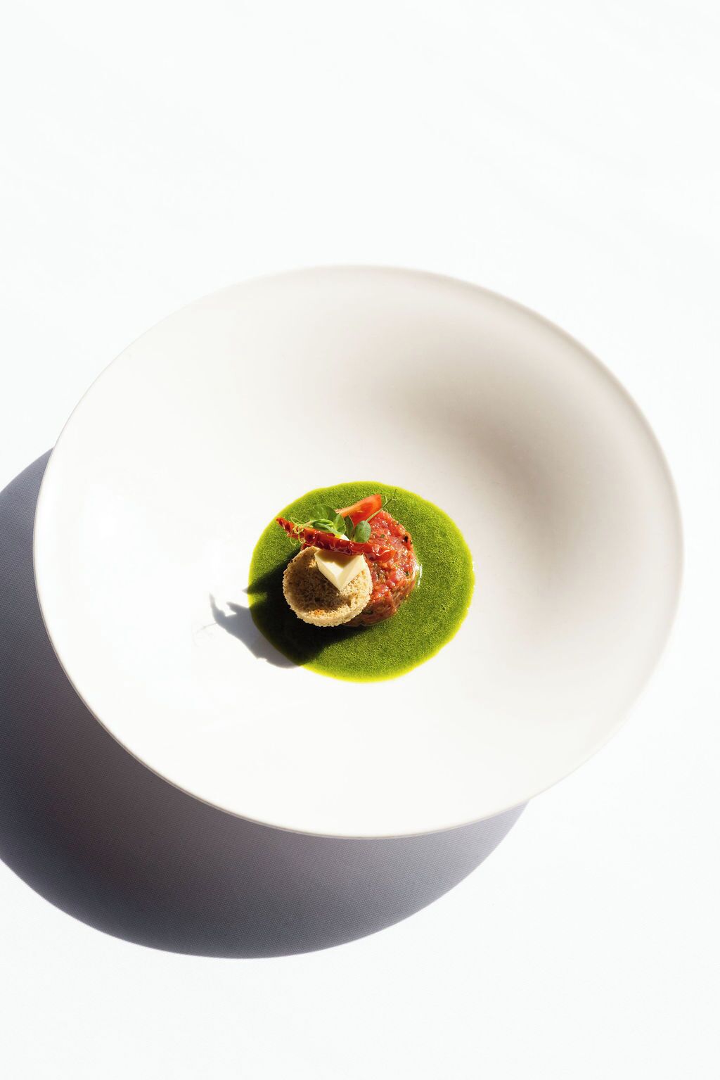 A white plate with a green sauce, a piece of meat, and a garnish.