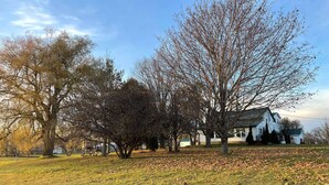 A grassy area with trees and a white house. - Beautiful farmhouse with horses, pet friendly & close to Prince Edward County. (Brighton)
