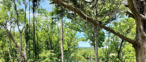 A swing set in a park with a lake in the background.