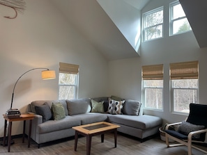 Smart TV, fireplace, books, stereo