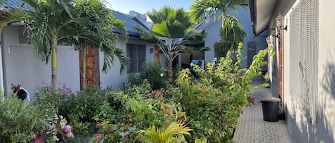 Courtyard view