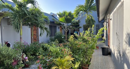 Pasifika Guesthouse