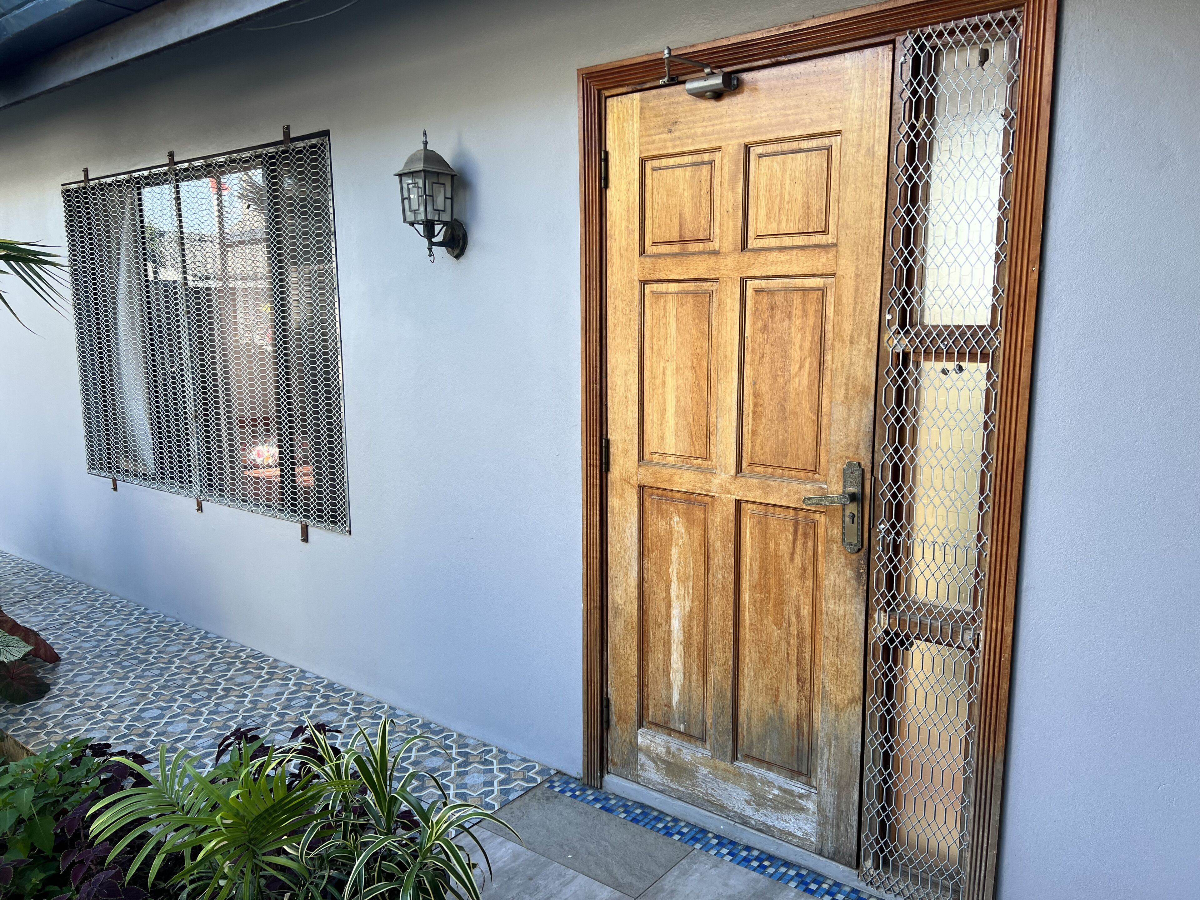 A wooden door with a metal mesh window, a wall-mounted light, and a tiled floor with plants.