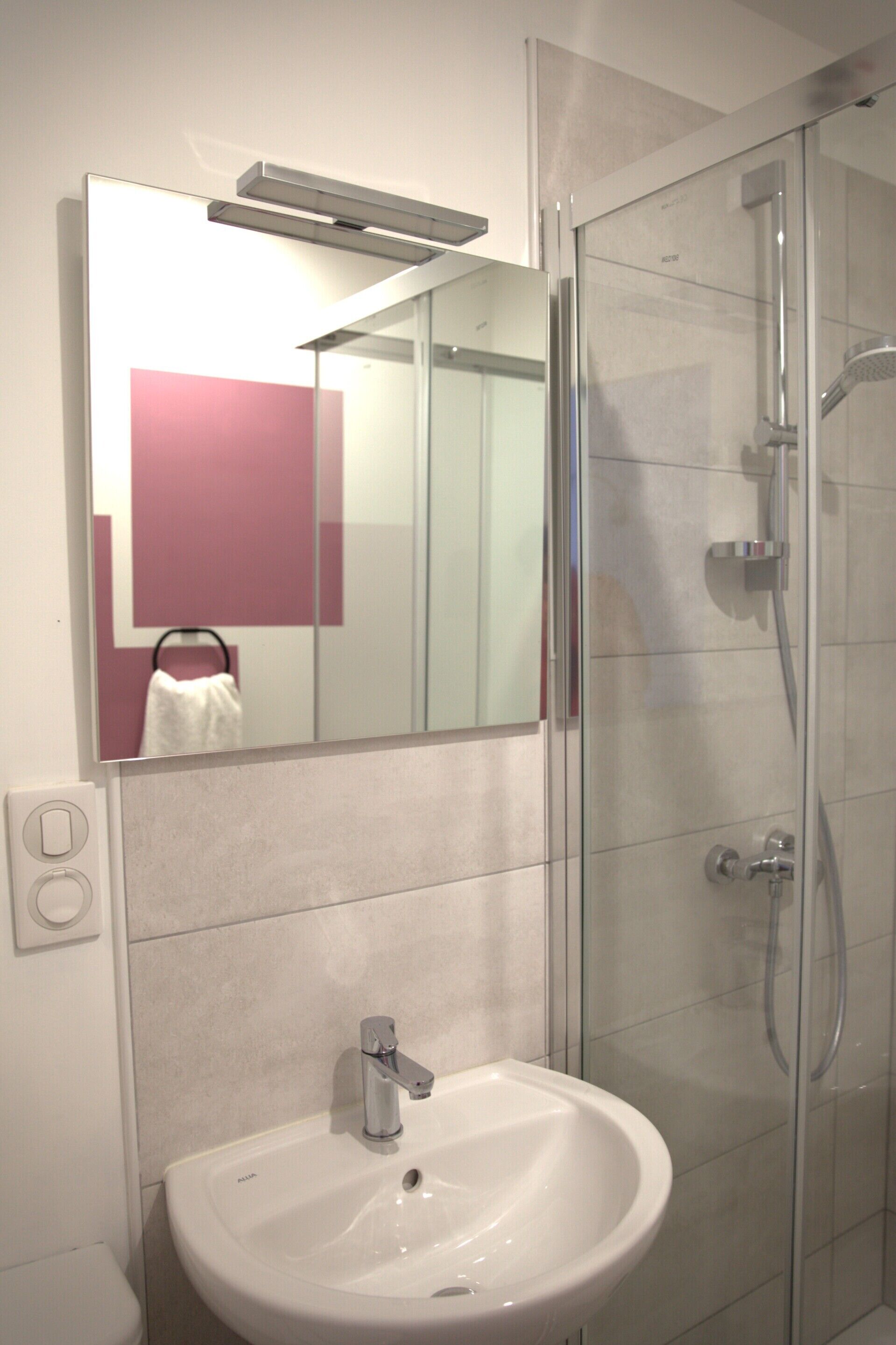 Une salle de bain avec un lavabo blanc, un miroir et une cabine de douche en verre.