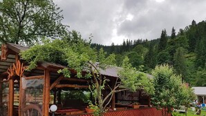 A rustic wooden cabin with a covered porch, surrounded by lush greenery and a forested backdrop. - CASA SIADY (Vatra Dornei)