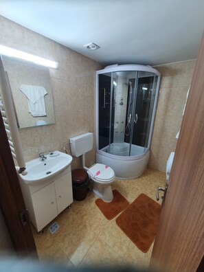 A modern bathroom with a glass-enclosed shower, a white sink, and a toilet. - CASA SIADY (Vatra Dornei)