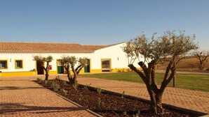 Un edificio con techo de tejas y detalles amarillos, rodeado de un sendero pavimentado y pequeños árboles.