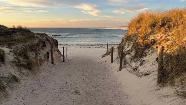 A sandy beach path leading to the ocean with wooden posts and grass on either side.