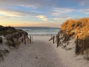 Een zandpad langs het strand dat naar de zee leidt, met houten palen en gras aan beide zijden.