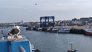 A harbor with boats docked, a crane, and a bird on a structure.