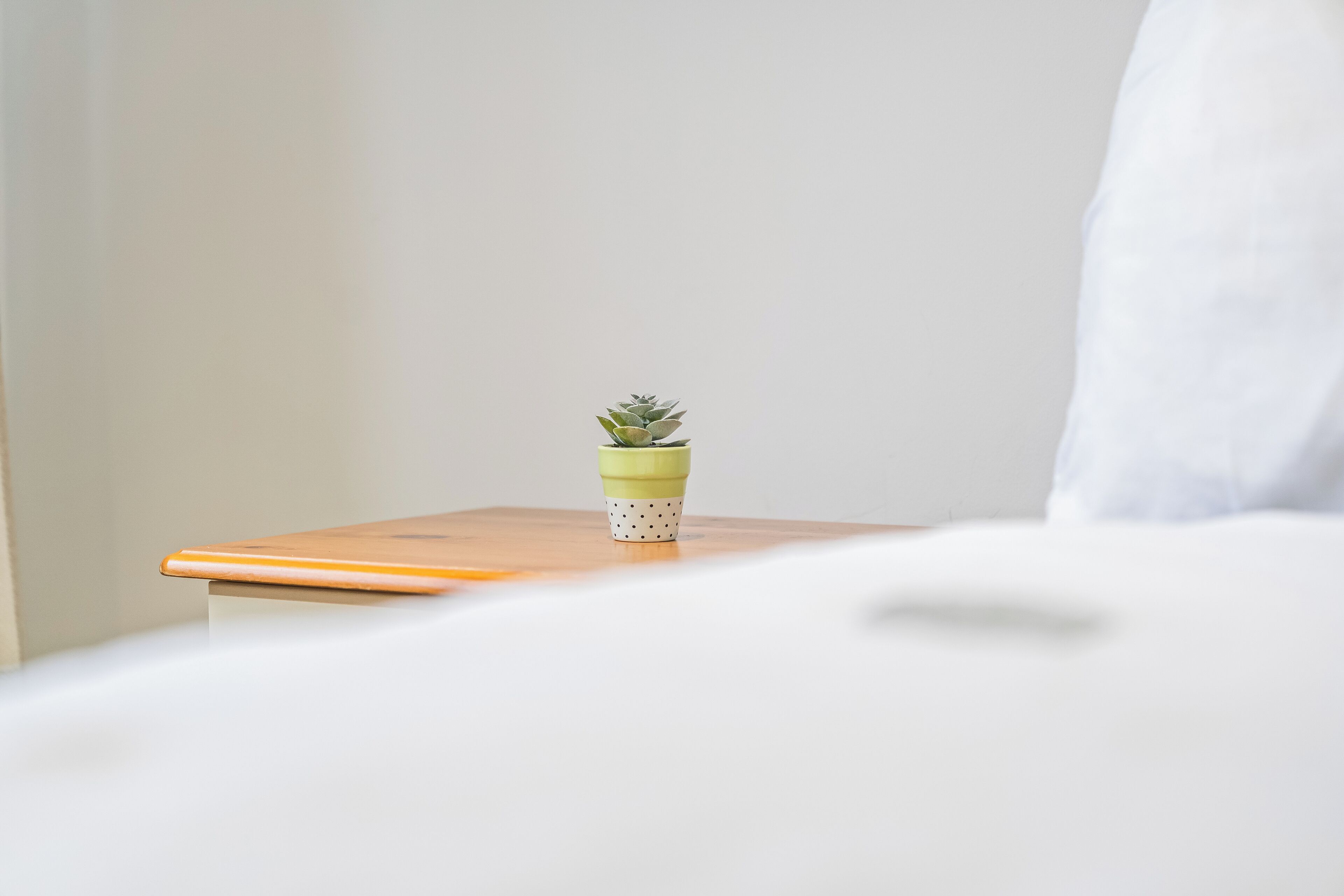 A small potted plant on a bedside table in a room with white walls and a white bed.
